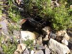 Multiple Culvert Crossing, Scarborough, Maine