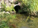Multiple Culvert Crossing, Scarborough, Maine