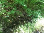Multiple Culvert Crossing, Scarborough, Maine