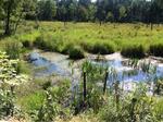 Culvert Crossing, Berwick, Maine