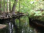 Culvert Crossing, Long Swamp Brook, Berwick, Maine