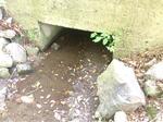 Culvert Crossing, Kittery, Maine