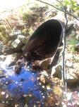 Culvert Crossing, Trib To Salmon Falls River, Lebanon, Maine