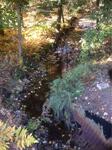 Culvert Crossing, Trib To Salmon Falls River, Lebanon, Maine
