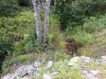 Multiple Culvert Crossing, Sanford, Maine