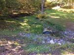 Culvert Crossing, York, Maine