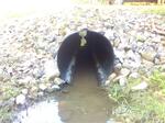 Culvert Crossing, York, Maine