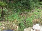 Multiple Culvert Crossing, Rrib To Mousam, Alfred, Maine