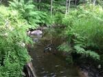 Culvert Crossing, Clay Hill Brook, York, Maine