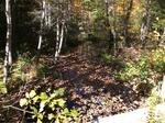 Culvert Crossing, Trib To Salmon Falls River, Acton, Maine