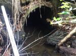 Culvert Crossing, Sanford, Maine