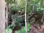 Culvert Crossing, Sanford, Maine
