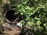 Multiple Culvert Crossing, Hutchins Creek, Kittery, Maine
