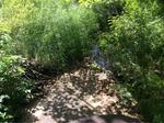 Culvert Crossing, Berwick, Maine