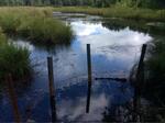 Culvert Crossing, Berwick, Maine