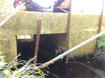 Culvert Crossing, Berwick, Maine
