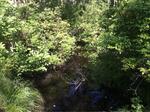 Culvert Crossing, Berwick, Maine