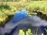 Culvert Crossing, Berwick, Maine