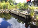 Culvert Crossing, Berwick, Maine