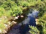Culvert Crossing, Berwick, Maine