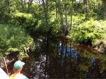 Culvert Crossing, Berwick, Maine