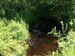 Culvert Crossing, Kennebunkport, Maine