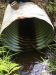 Culvert Crossing, Kennebunkport, Maine