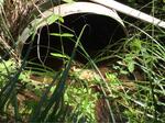 Culvert Crossing, Eliot, Maine