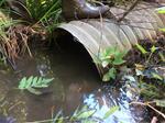 Culvert Crossing, Eliot, Maine