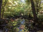 Culvert Crossing, Trib To Ogunquit River, Wells, Maine