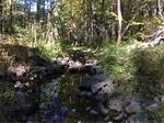 Culvert Crossing, Trib To Ogunquit River, Wells, Maine
