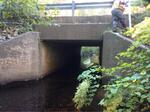 Culvert Crossing, Blacksmith Brook, Wells, Maine