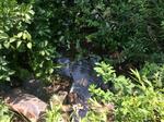 Culvert Crossing, Turbats Creek, Kennebunkport, Maine