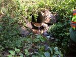 Culvert Crossing, Turbats Creek, Kennebunkport, Maine