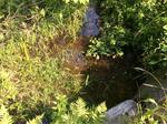 Culvert Crossing, Turbats Creek, Kennebunkport, Maine