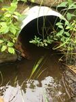 Culvert Crossing, Turbats Creek, Kennebunkport, Maine