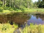 Culvert Crossing, Kennebunkport, Maine