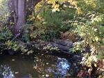 Culvert Crossing, Berwick, Maine