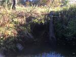 Culvert Crossing, Berwick, Maine