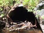 Culvert Crossing, Ogunquit, Maine