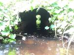 Culvert Crossing, Wells, Maine