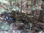 Culvert Crossing, Trib To Little River, Acton, Maine