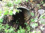 Culvert Crossing, Long Pond, Saco, Maine