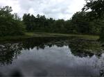 Culvert Crossing, Sanford, Maine
