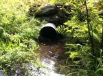 Culvert Crossing, Shapleigh, Maine