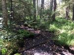 Culvert Crossing, Kittery, Maine