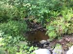 Culvert Crossing, Paddy Creek, Kennebunkport, Maine