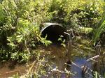 Culvert Crossing, Southside Brook, York, Maine