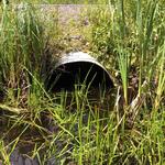 Culvert Crossing, Southside Brook, York, Maine