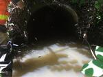 Culvert Crossing, Saco, Maine